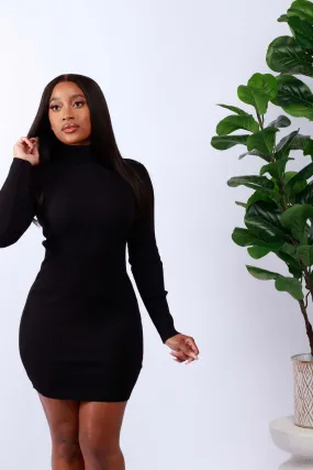 Turtleneck Long-Sleeve Bodycon Dress